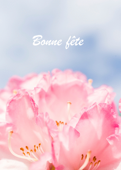 Carte Bonne Fête Tout En Fleures : Envoyer une Carte Bonne Fête Avec